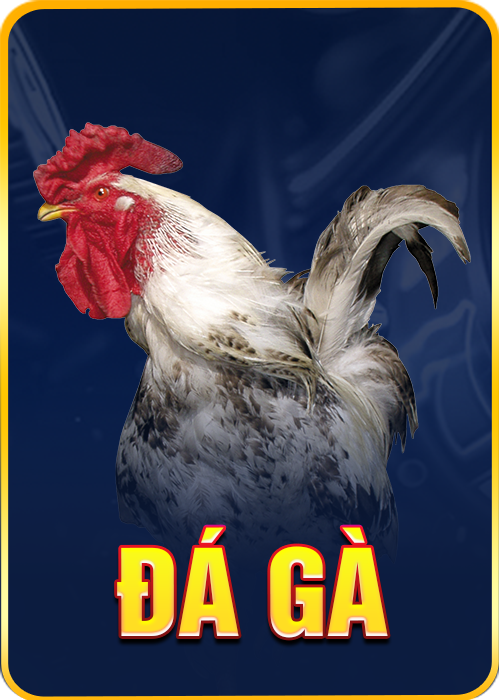 đá gà ao88